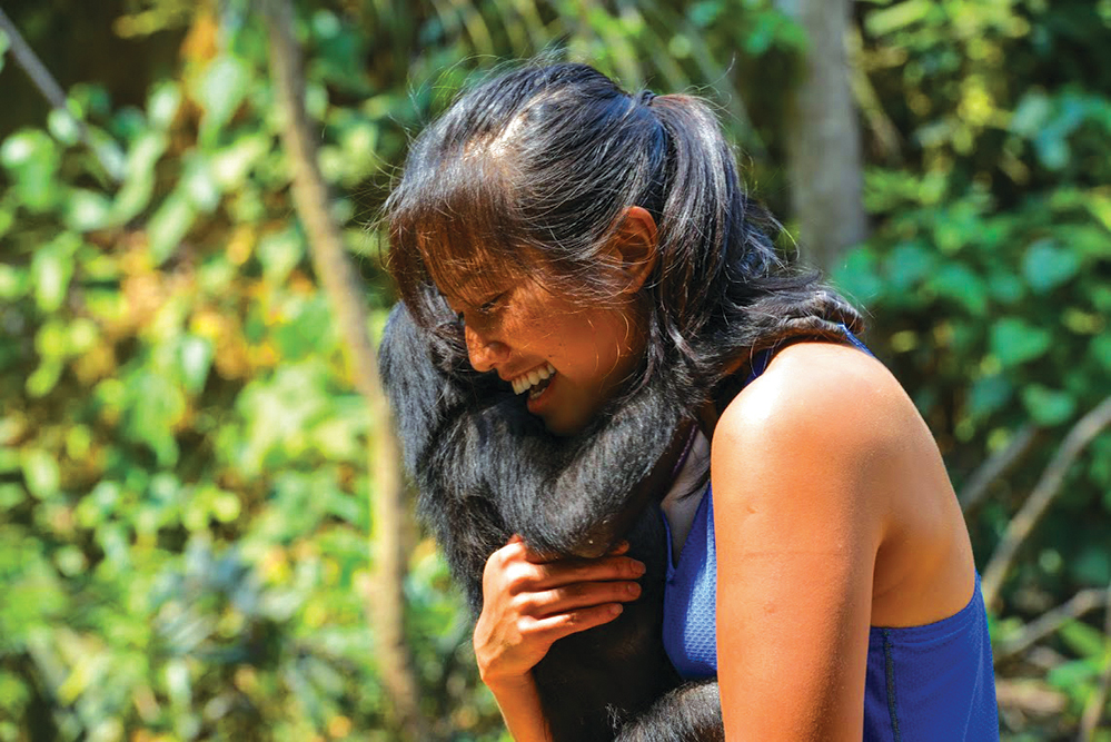 Laurel Chor with a bonobo in the Congo (Credit: Laurel Chor)